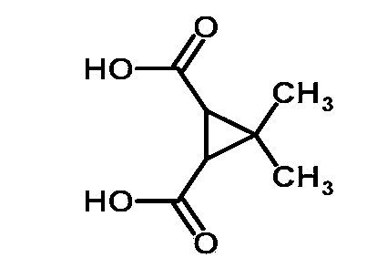 Preparation method of 3,3-dimethyl-1,2-cyclopropane dicarboxylic acid