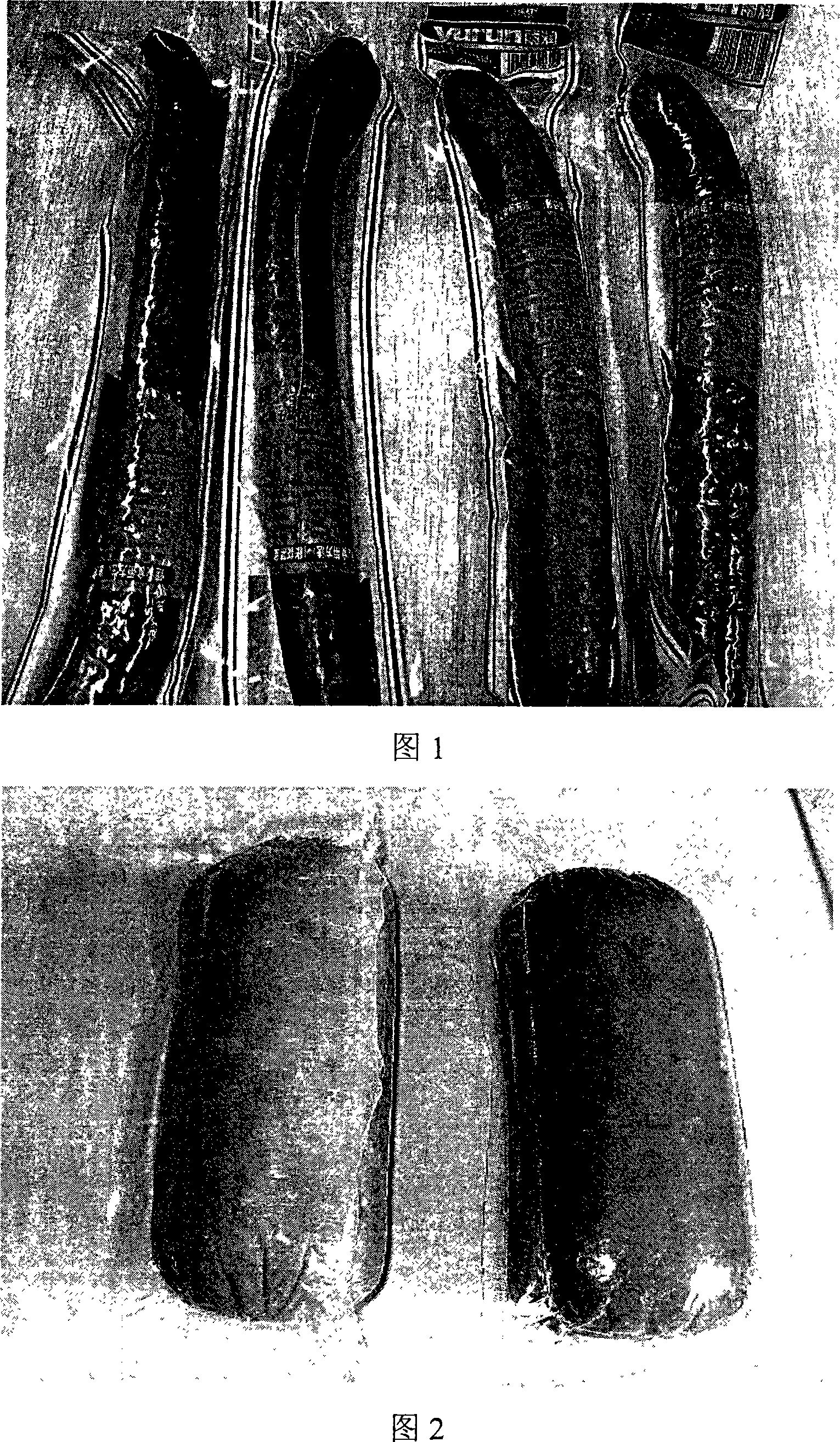 Compound pigment capable of preventing ham and roasting sausage products from fading and color protecting method