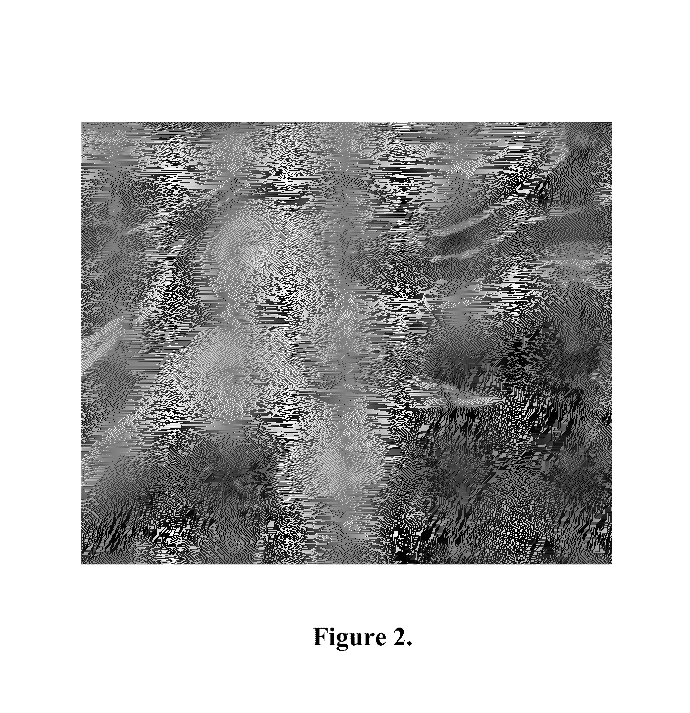 Adhesive medical products and methods for treating gastrointestinal lesions