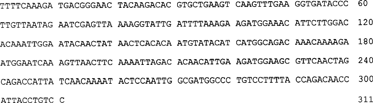 Plant DNA virus satellite silent vector and method for constructing and using same