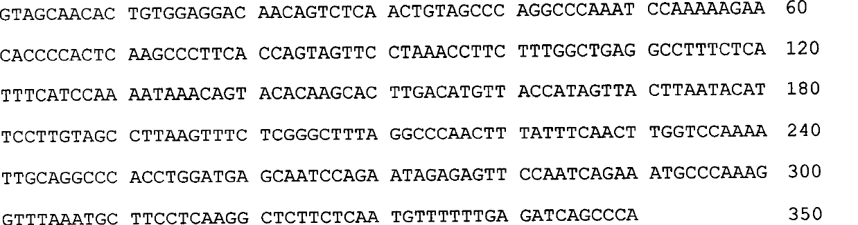 Plant DNA virus satellite silent vector and method for constructing and using same