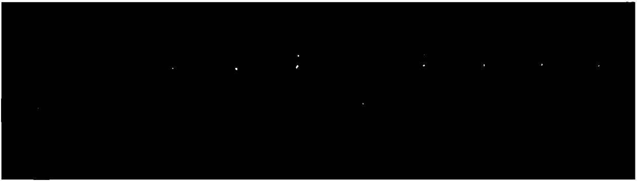 Copper (II) coordination compound, hydrogel as well as preparation method and application of copper (II) coordination compound and hydrogel