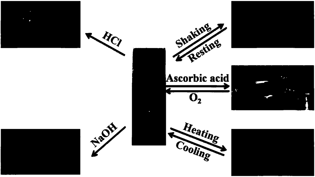 Copper (II) coordination compound, hydrogel as well as preparation method and application of copper (II) coordination compound and hydrogel