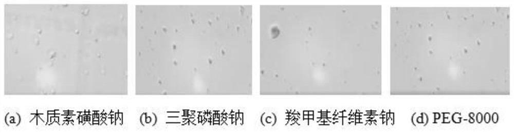 A kind of wettable bacteria powder and its preparation method and application
