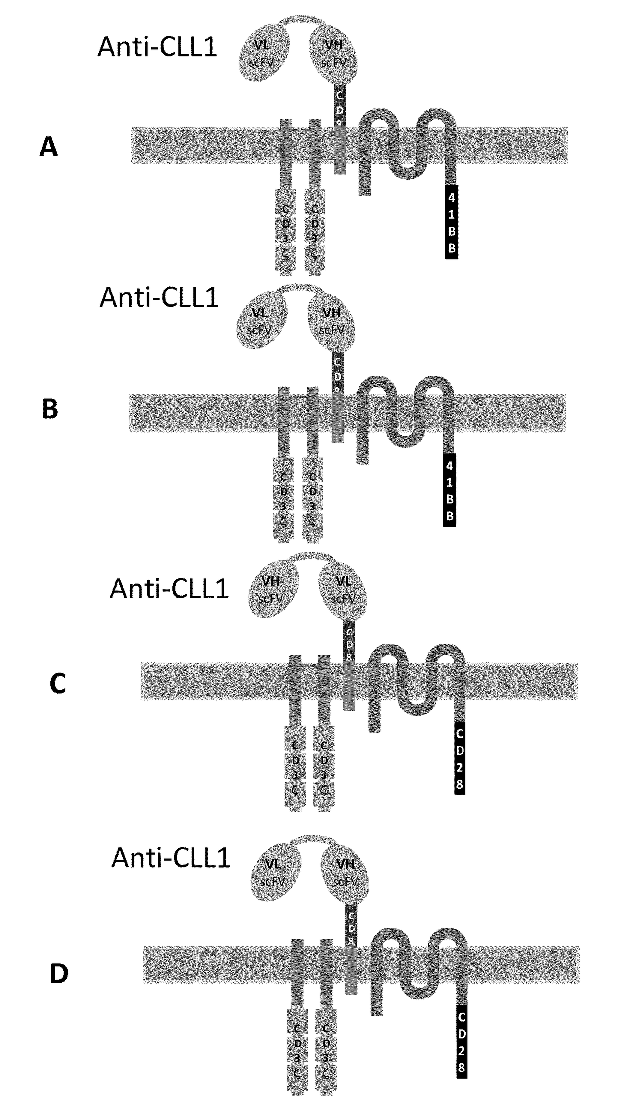 Cll1-specific multi-chain chimeric antigen receptor