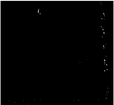 Preparation method of multi-template molecular imprinting integrated bar