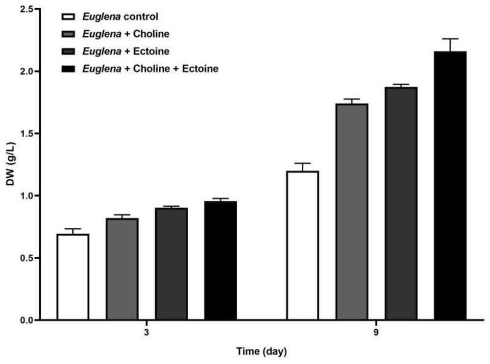 Accelerant for improving dry weight of euglena gracilis, euglena gracilis culture medium and application of euglena gracilis culture medium