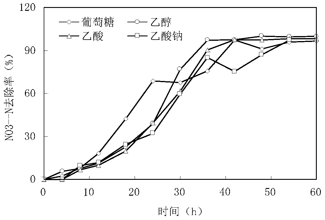 Denitrifying bacterium capable of efficiently denitriding under condition of low carbon-nitrogen ratio and application thereof