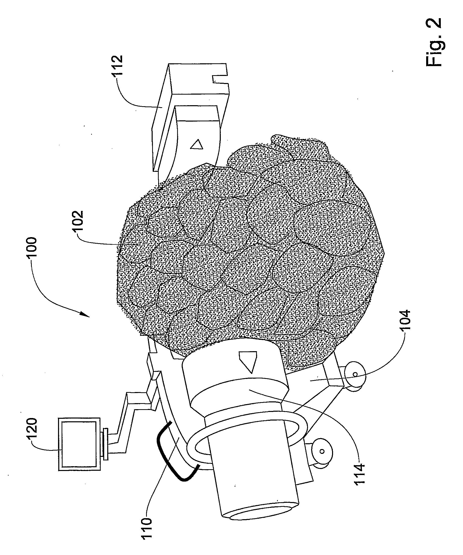Method and system for diagnosing and treating a pest infested body