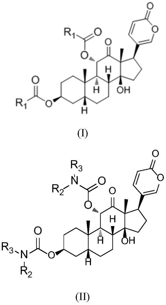 Arenobufagin derivative, preparation method thereof, pharmaceutical composition of arenobufagin derivative and application ofarenobufagin derivative