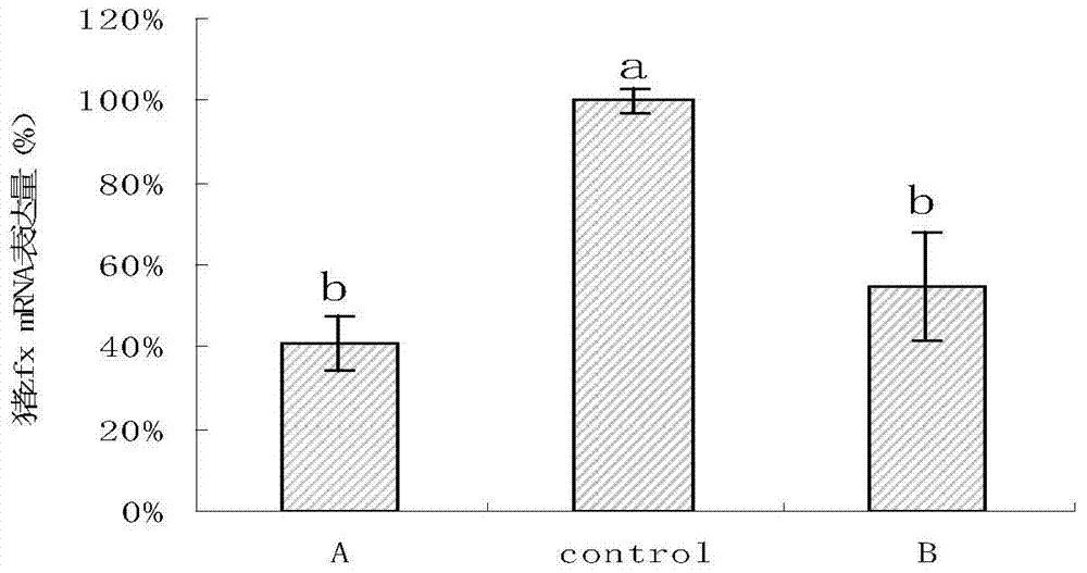 RNAi interference fragment, interference carrier, preparation method and application thereof