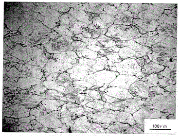 High-alloy low-carbon martensitic steel primary grain display agent and display method