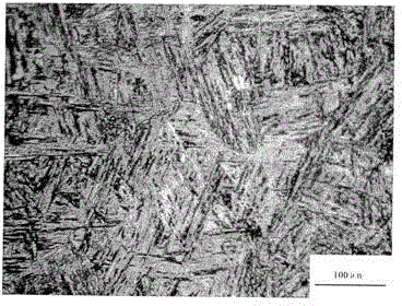 High-alloy low-carbon martensitic steel primary grain display agent and display method