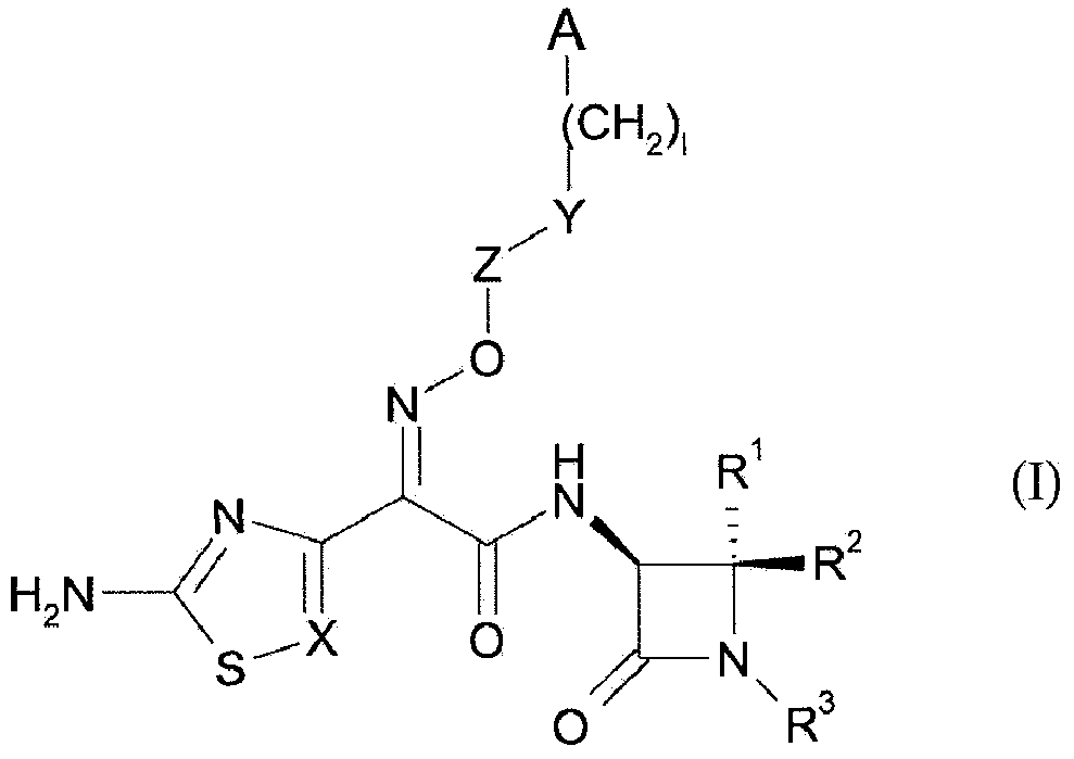 Amidine substituted beta - lactam compounds, their preparation and use as antibacterial agents
