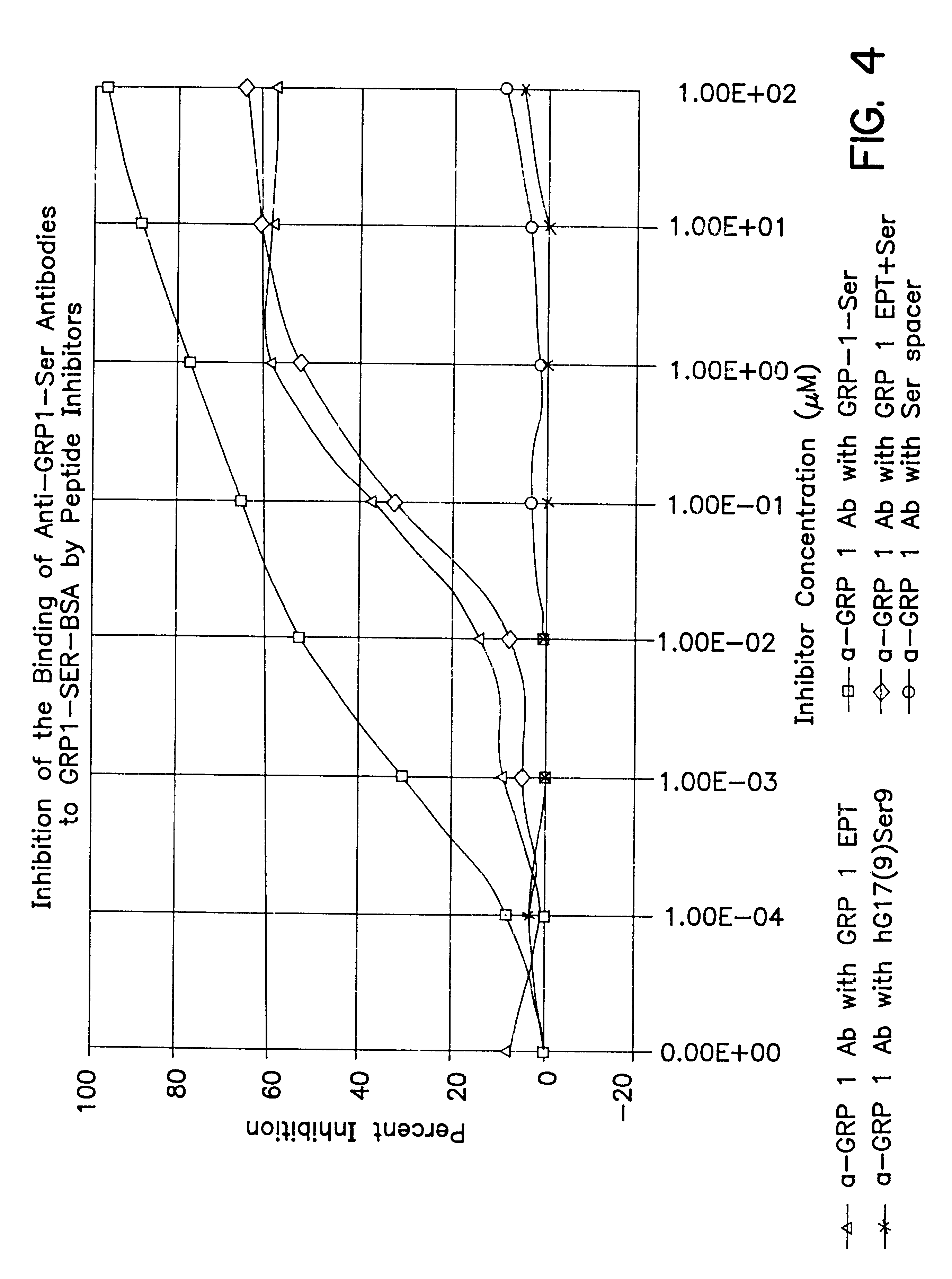 Immunogenic compositions to the CCK-B/gastrin receptor and methods for the treatment of tumors