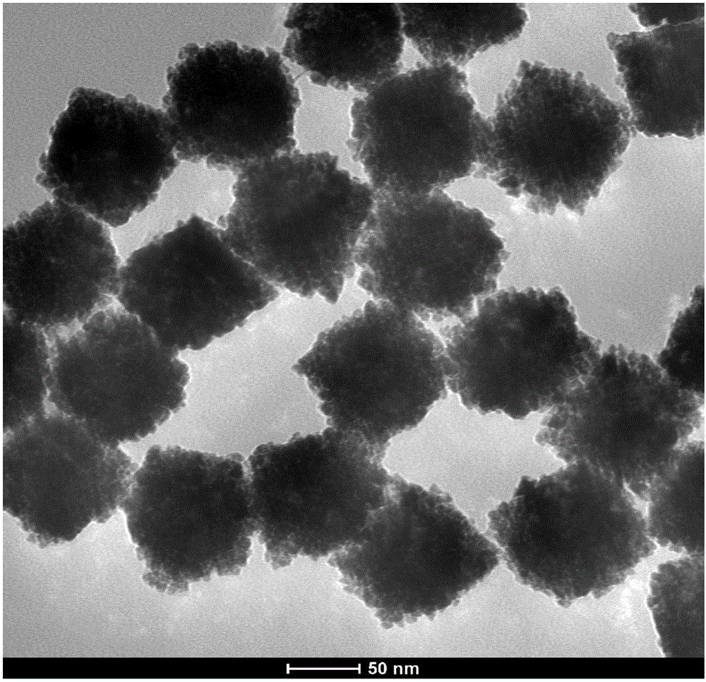 Platinum/silver alloy nano-particle catalyst, method for preparing same and application of platinum/silver alloy nano-particle catalyst