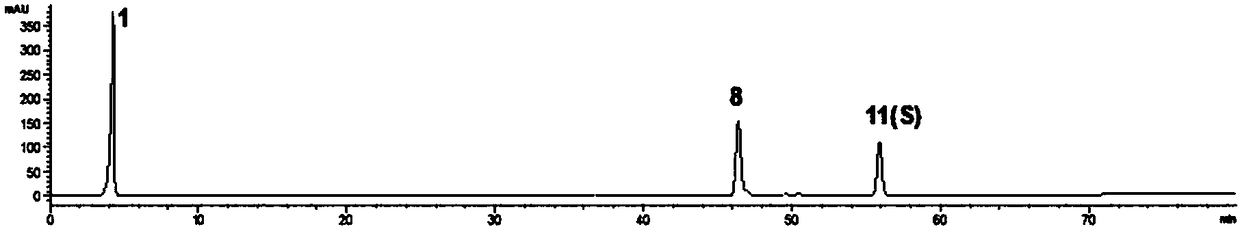 Method for creating HPLC (high-performance liquid chromatography) fingerprint spectra of vinegar-processed rhizoma cyperi