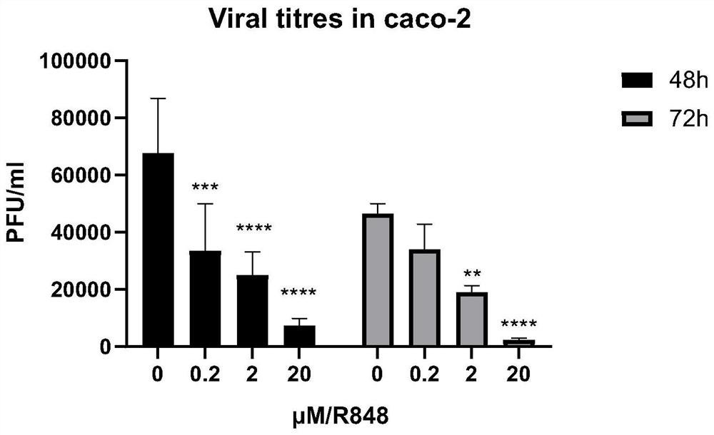 Application of R848 in preparation of medicine for inhibiting novel coronavirus SARS-CoV-2
