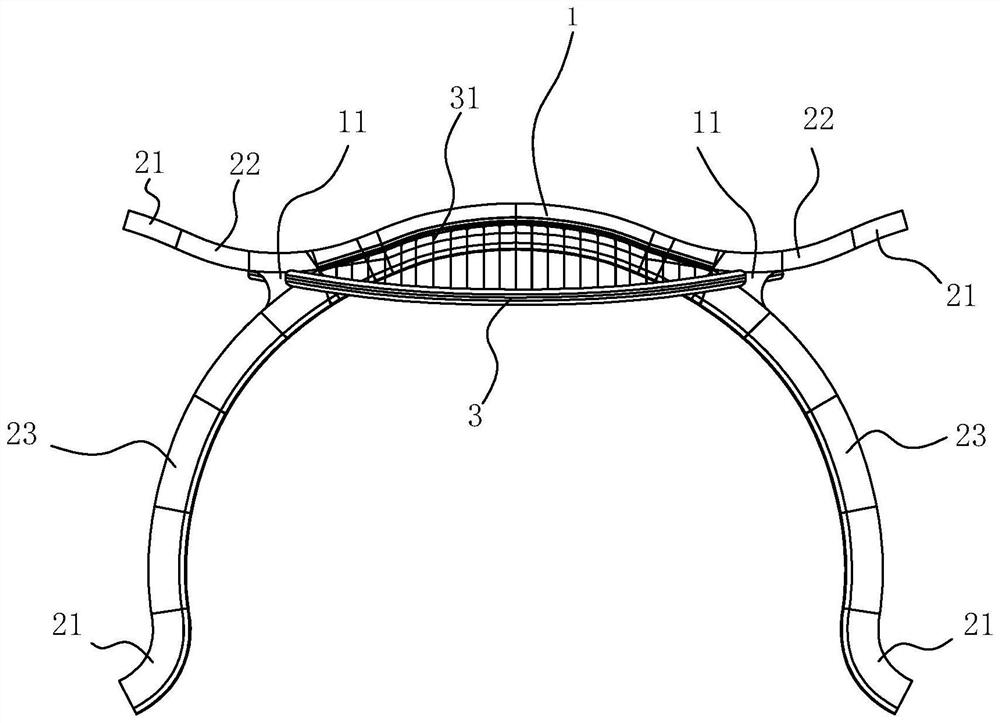 Special-shaped pedestrian landscape bridge structure and construction method thereof