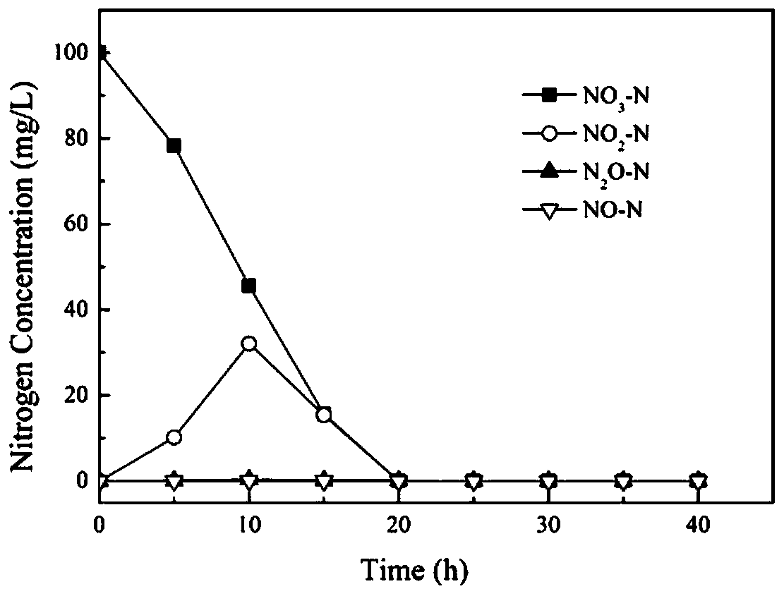 Achromobacter sp. capable of enduring zinc ion toxicity and application of Achromobacter sp.