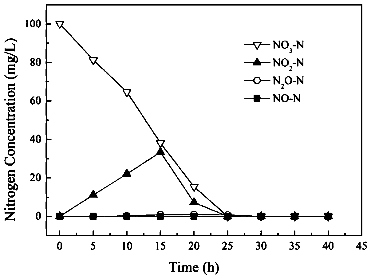 Achromobacter sp. capable of enduring zinc ion toxicity and application of Achromobacter sp.