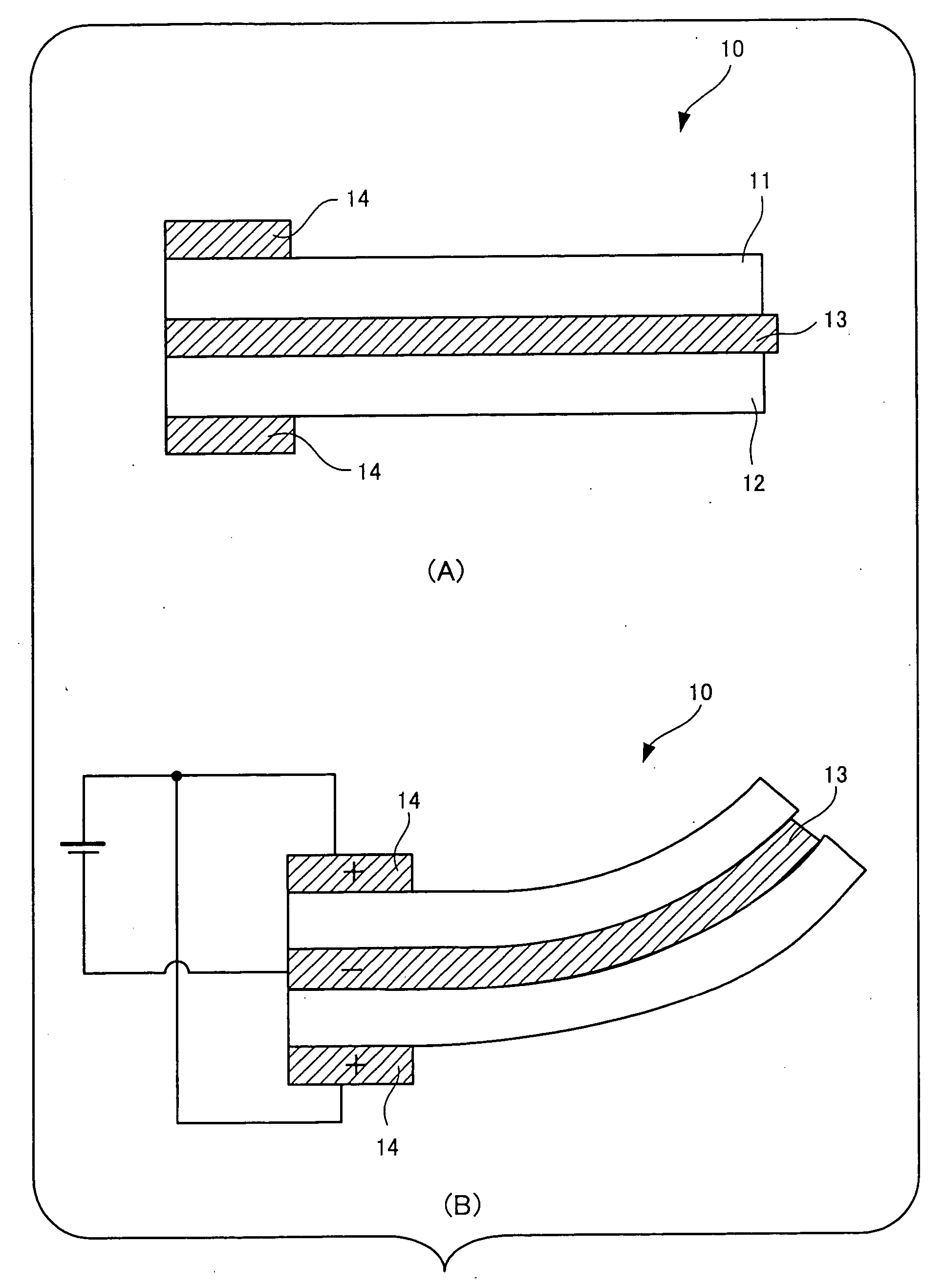 Piezoelectric actuator, lens driving device, and image taking device