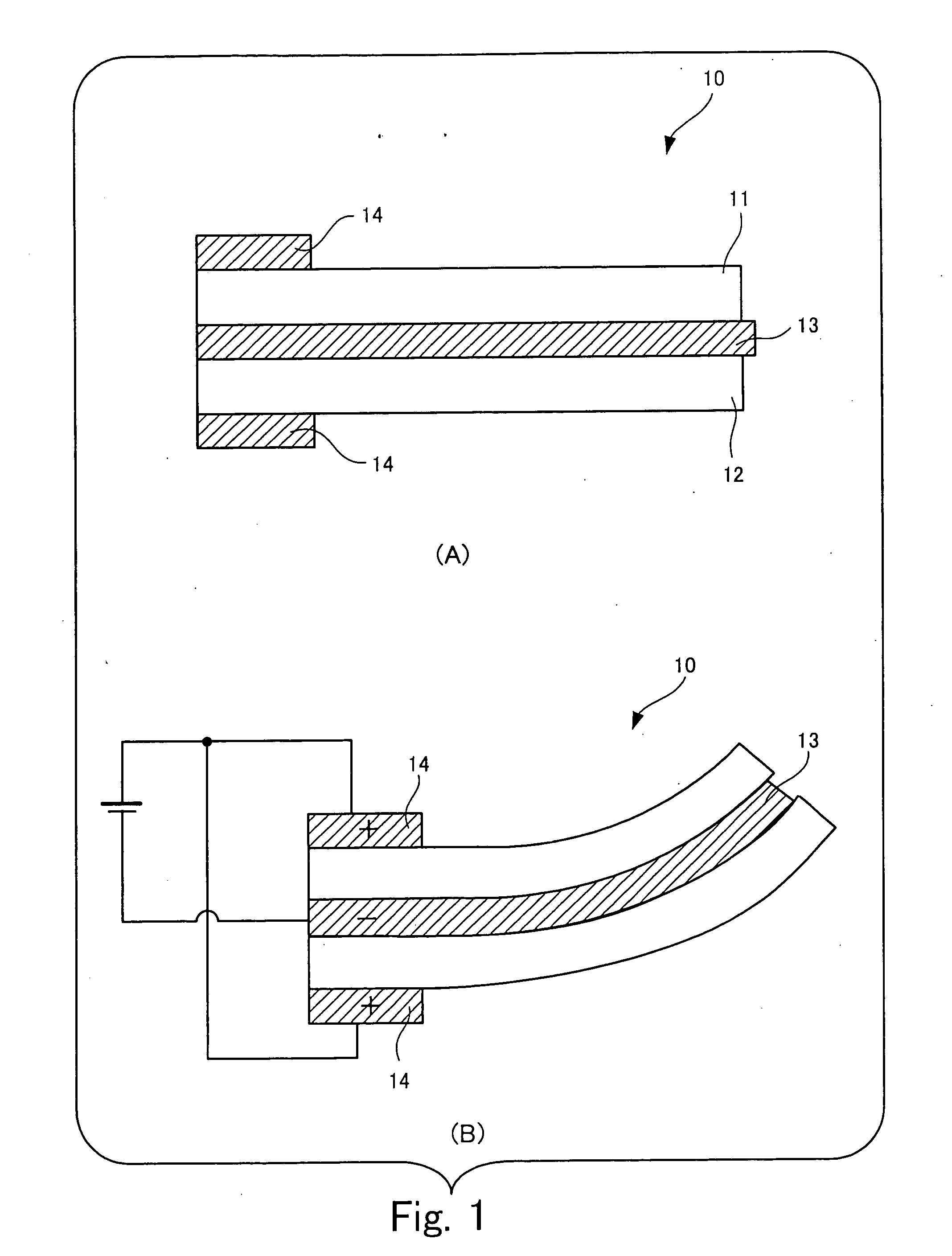 Piezoelectric actuator, lens driving device, and image taking device