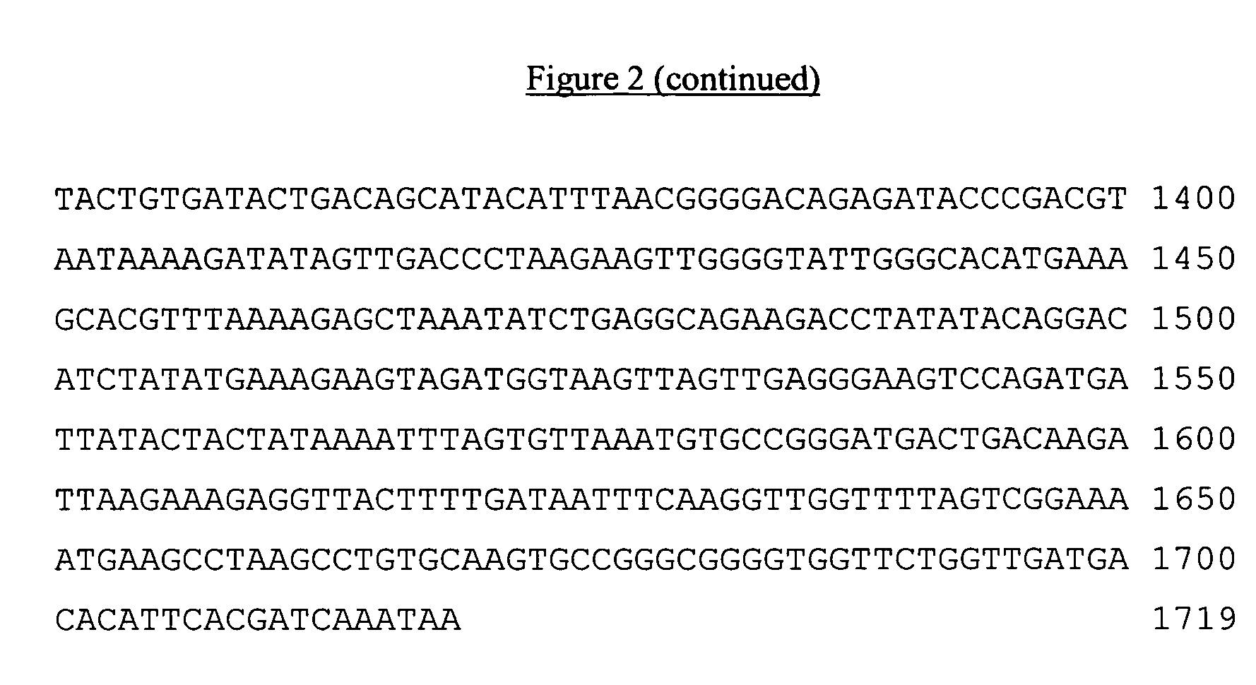 PHI 15 DNA polymerase