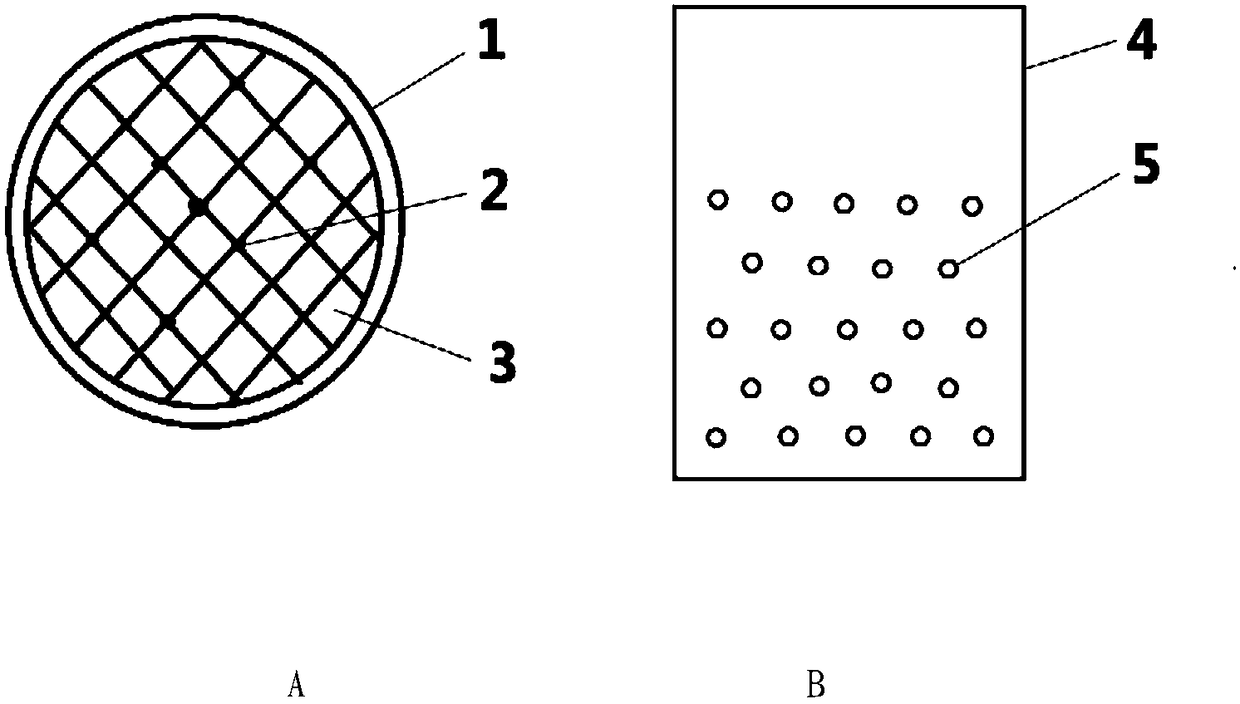 Intensive fertilization method by locating leaky nutrient well of fruit trees