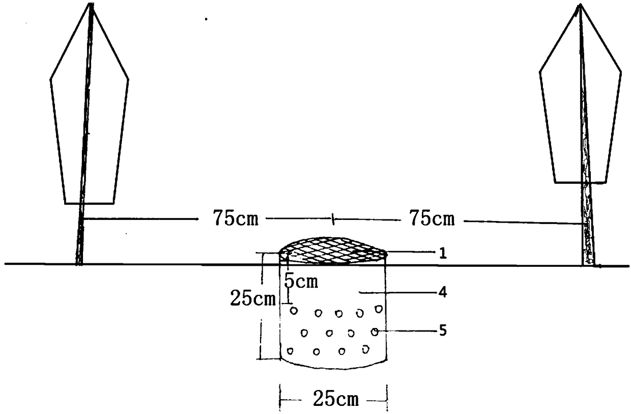 Intensive fertilization method by locating leaky nutrient well of fruit trees