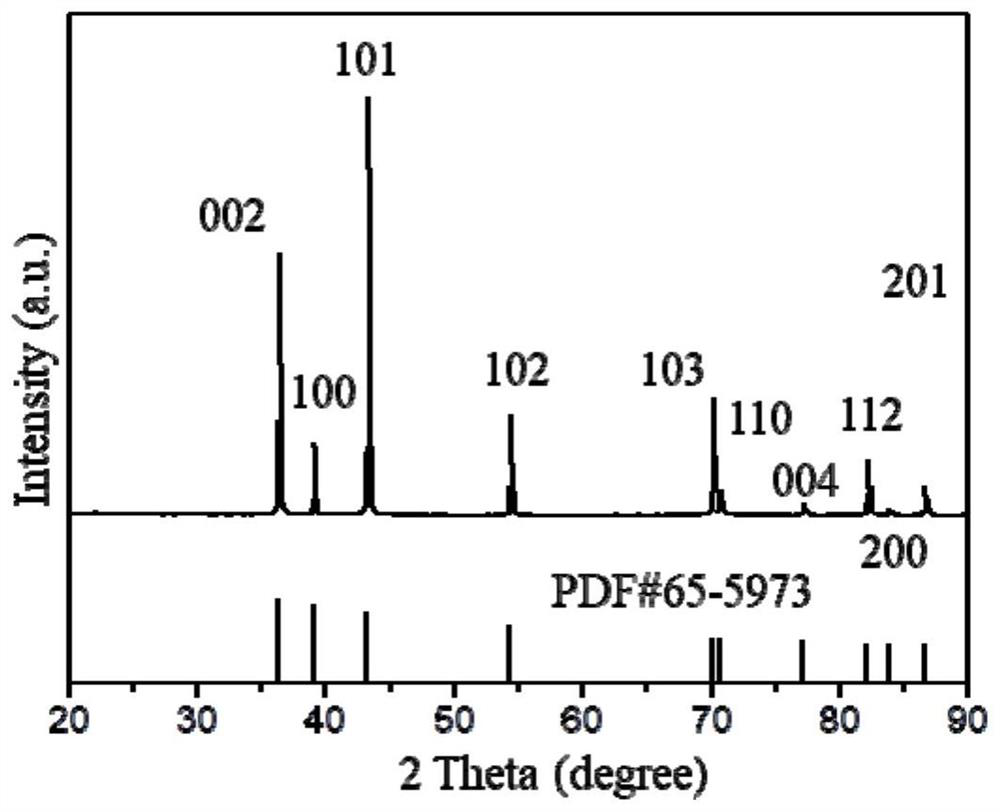 Zinc-based electrode capable of delaying nucleation of zinc dendrites as well as preparation method and application of zinc-based electrode