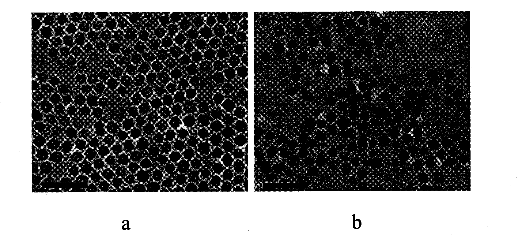 Preparation method of multifunctional nanometer composite particle constructed by modified polymine