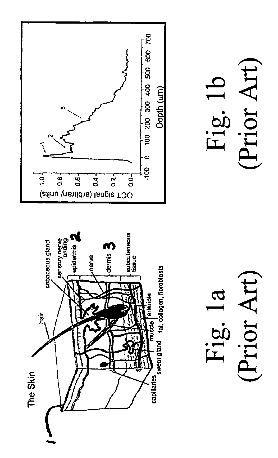 Method and apparatus for monitoring glucose levels in a biological tissue