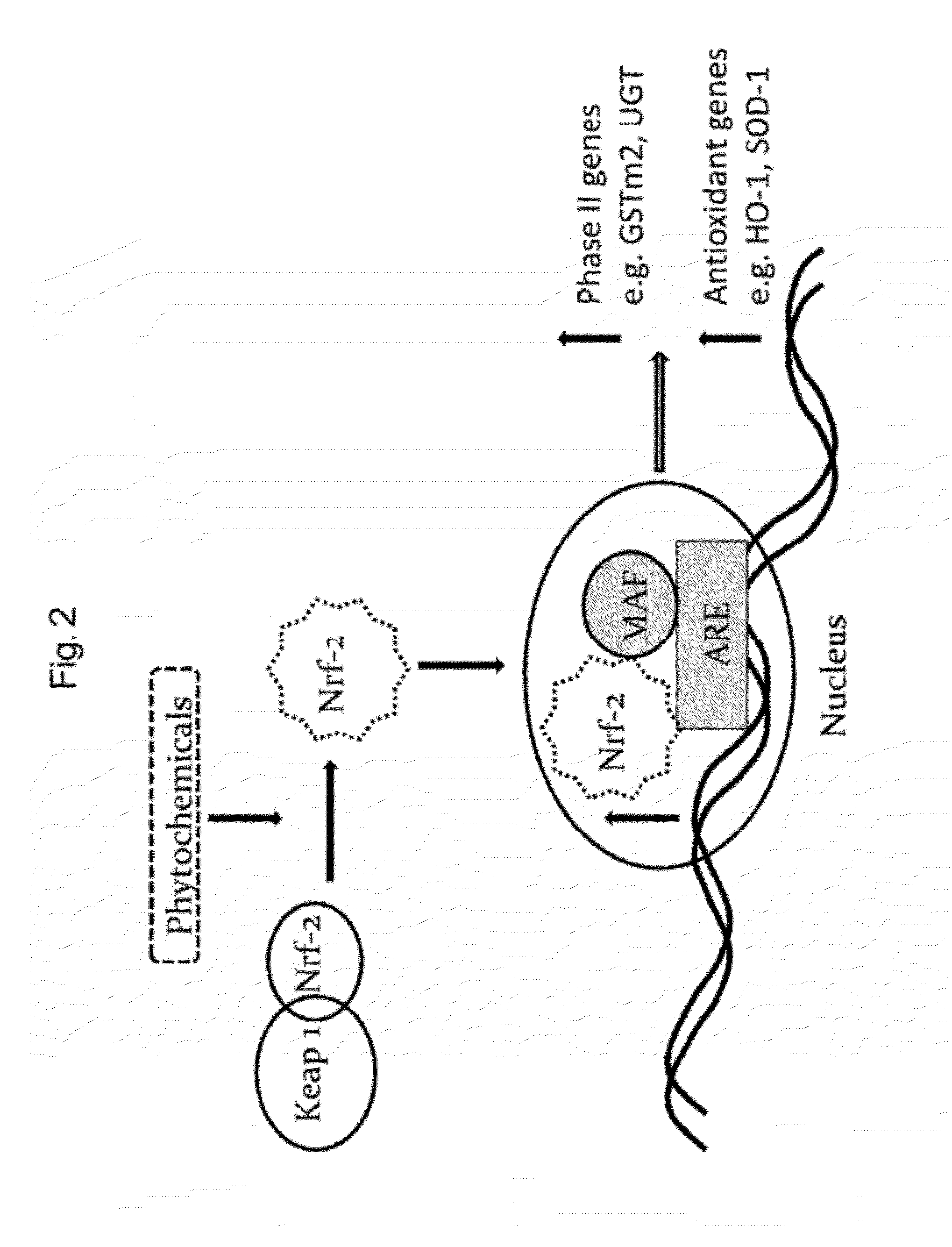 Compositions and methods for epigenetic modification 
of nucleic acid sequences