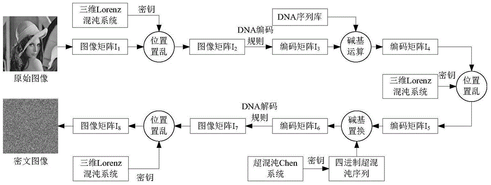Digital Image Encryption Method Based on Chaotic System and Nucleic Acid Sequence Library