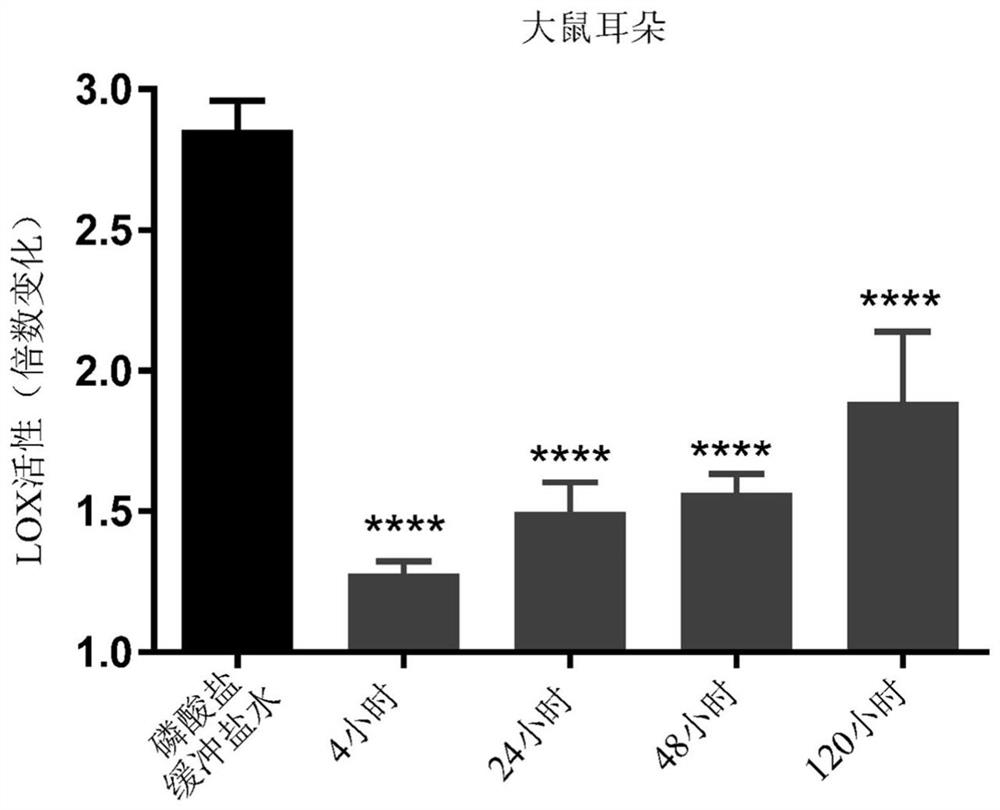 Haloallylamine sulfone derivative inhibitors of lysyl oxidases and uses thereof