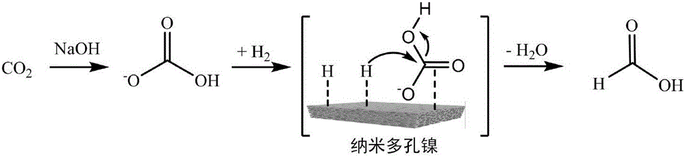 Method for preparing methanoic acid by catalytic hydrogenation of nanometer porous nickel material