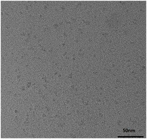 Biomedical silicon rubber with antibacterial property