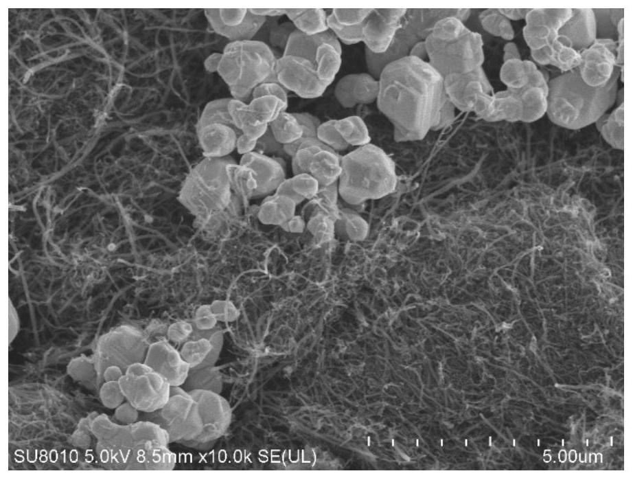 Silver-carbon electrode material as well as preparation method and application thereof