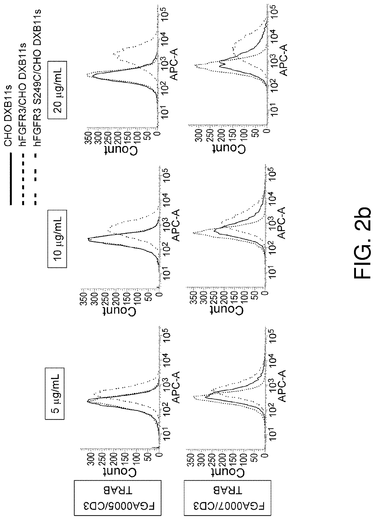 Anti-mutation type fgfr3 antibody and use therefor