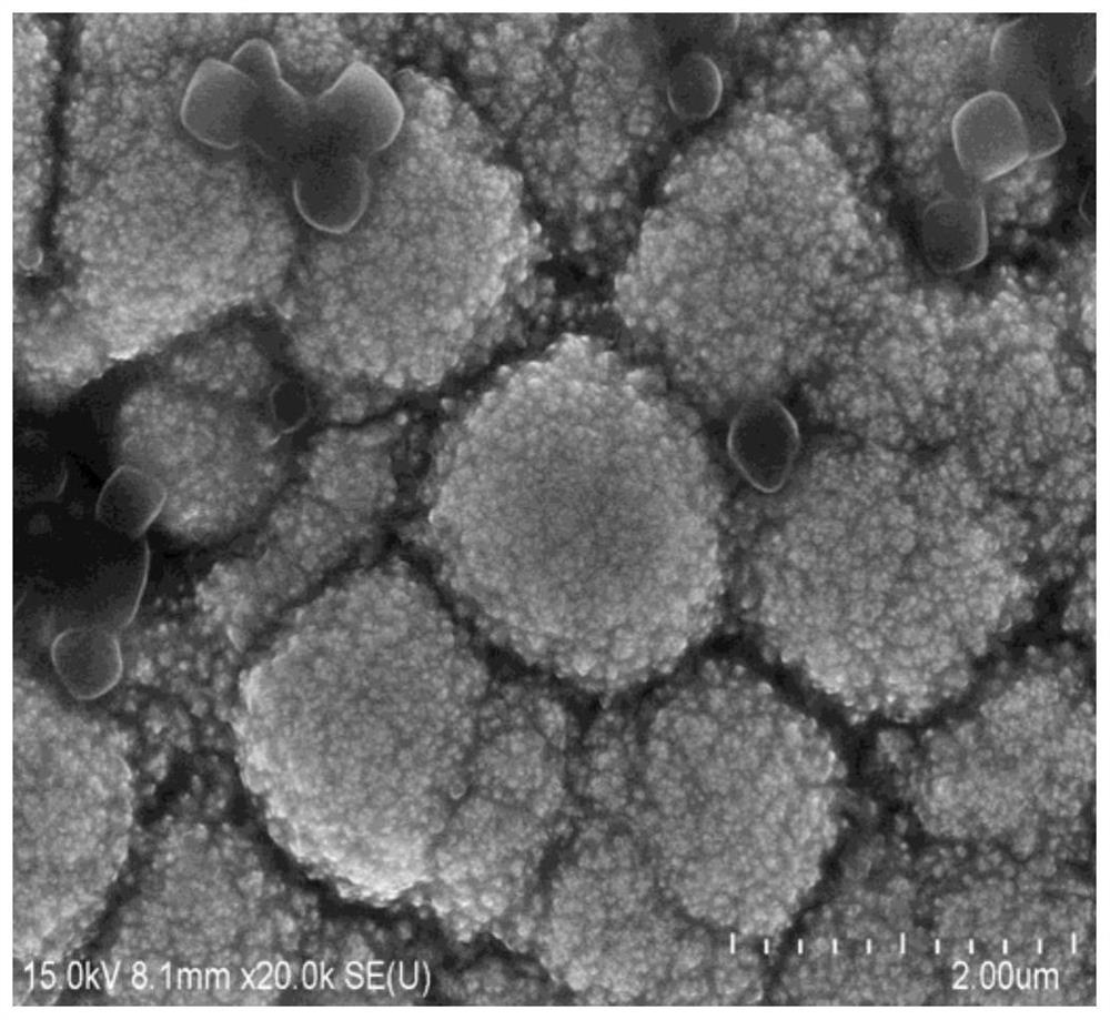 Carbon fiber-based amorphous pb-mn-ruox gradient anode material for manganese electrowinning and preparation method