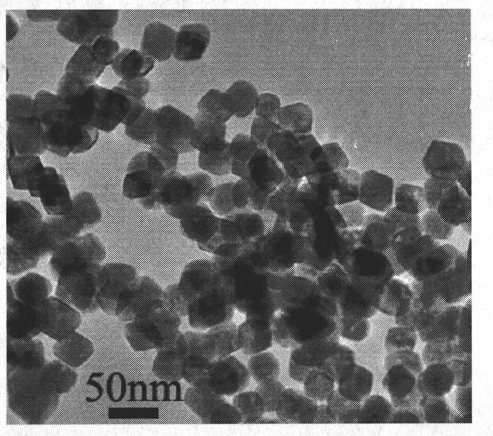 Preparation method of cadmium molybdate octahedron with controllable grain size