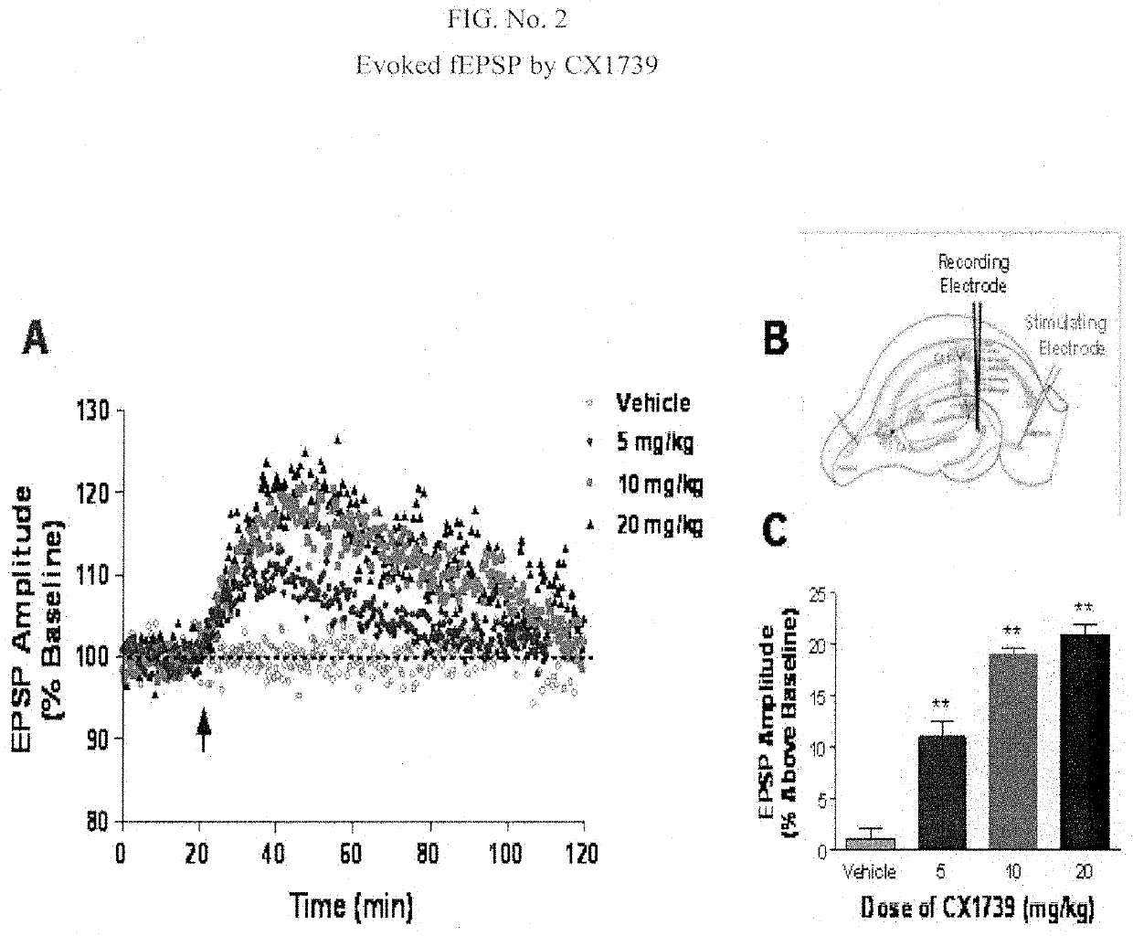 Compositions and methods for treating attention deficit disorders