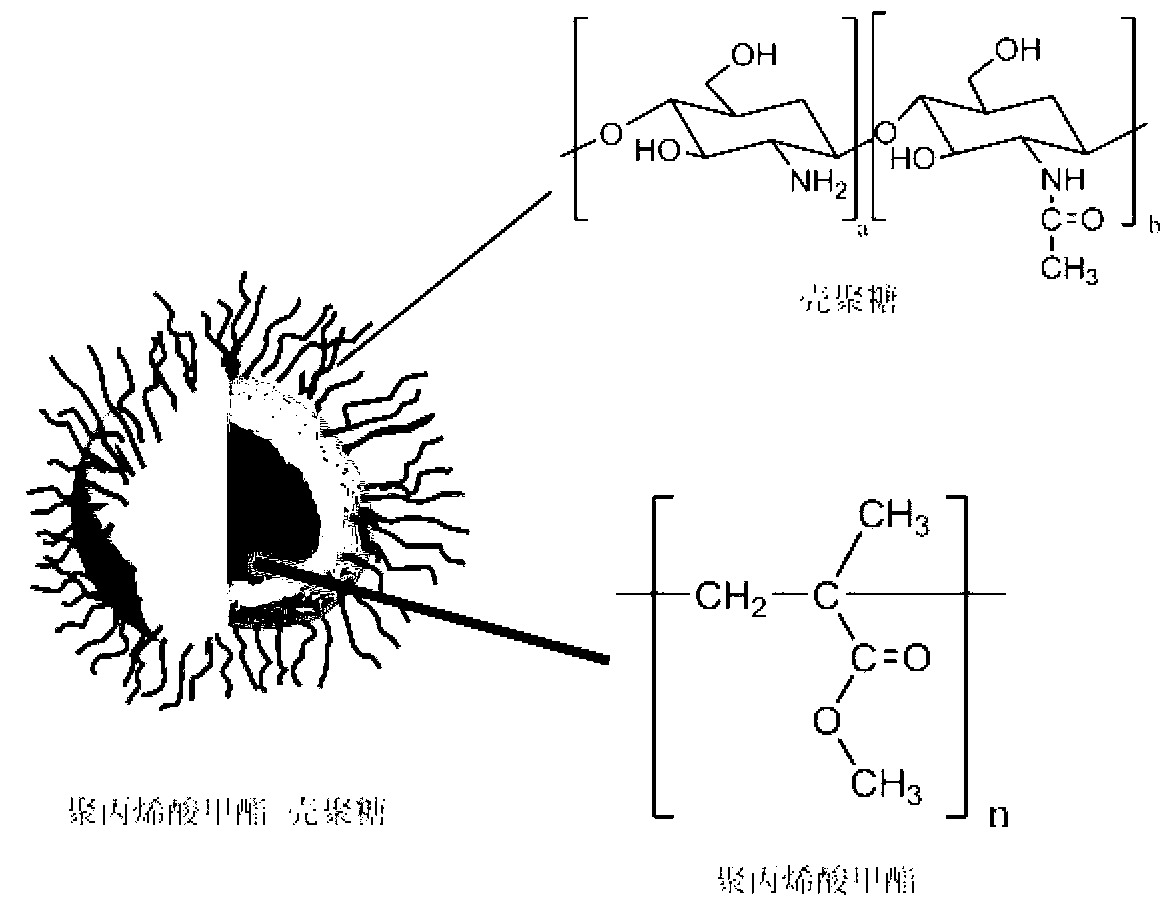 Macromolecular compound latex scar paste applied to inhibiting discomforts such as pruritus