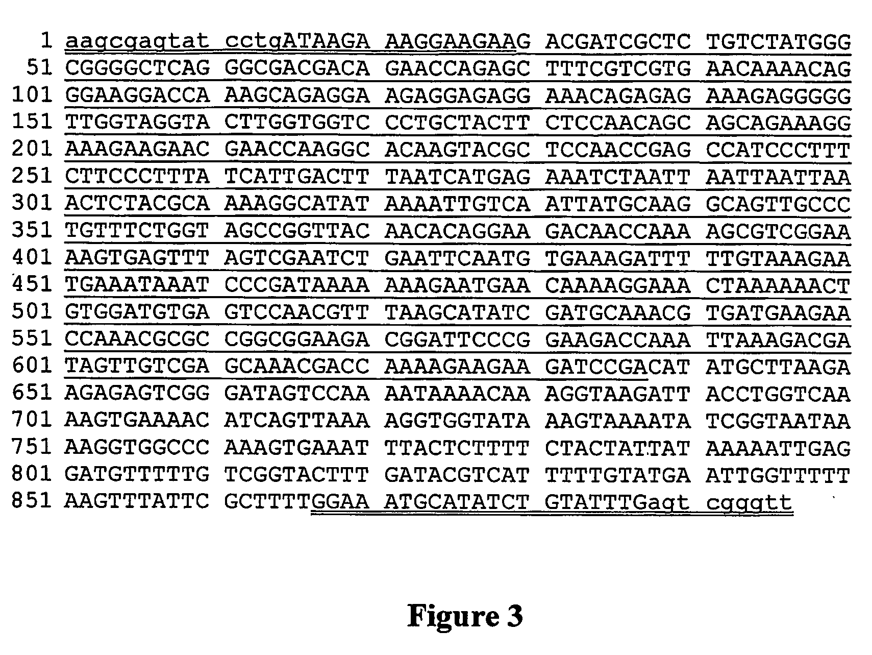Bentgrass event asr-368 and compositions and methods for detection thereof