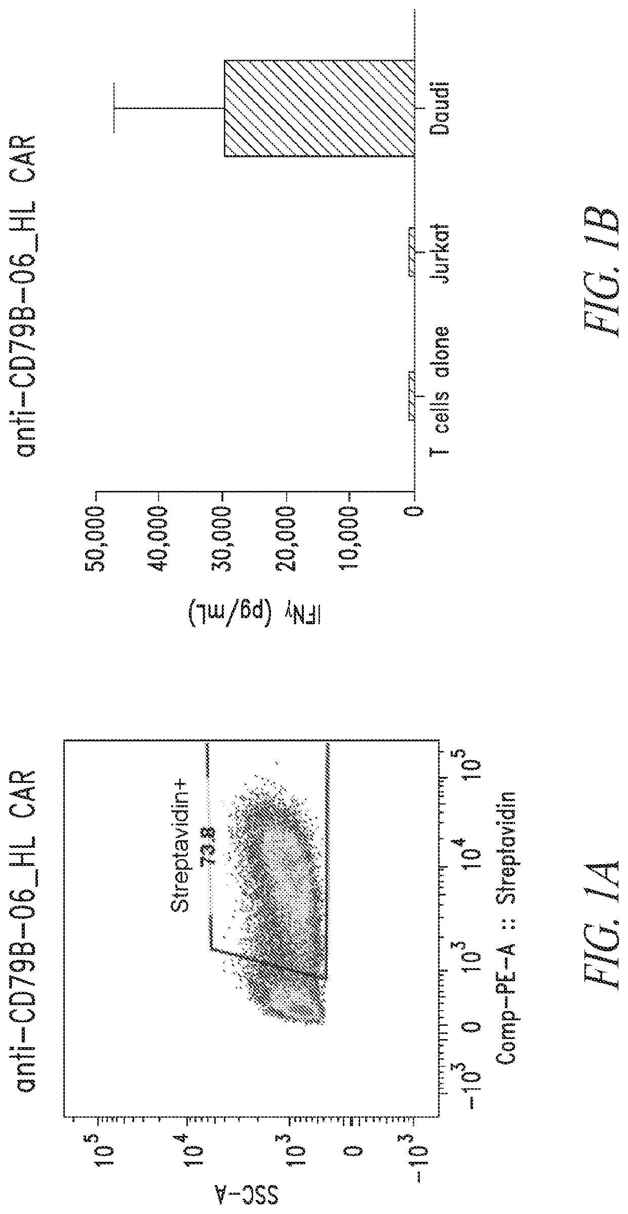 Cd79b chimeric antigen receptors