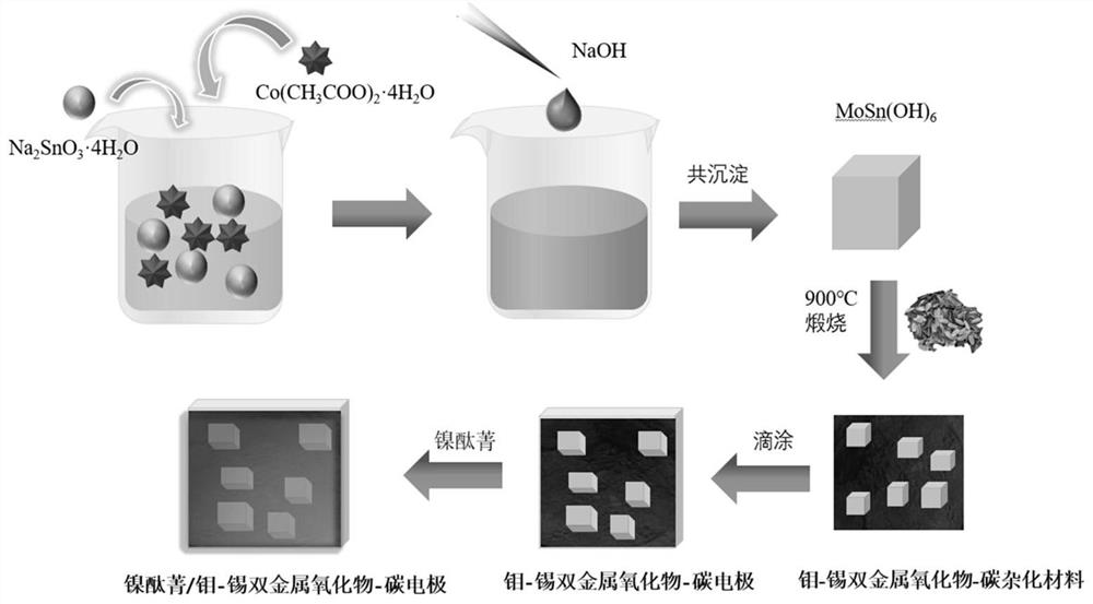 Preparation of carbon electrode and detection method and application of plant morin