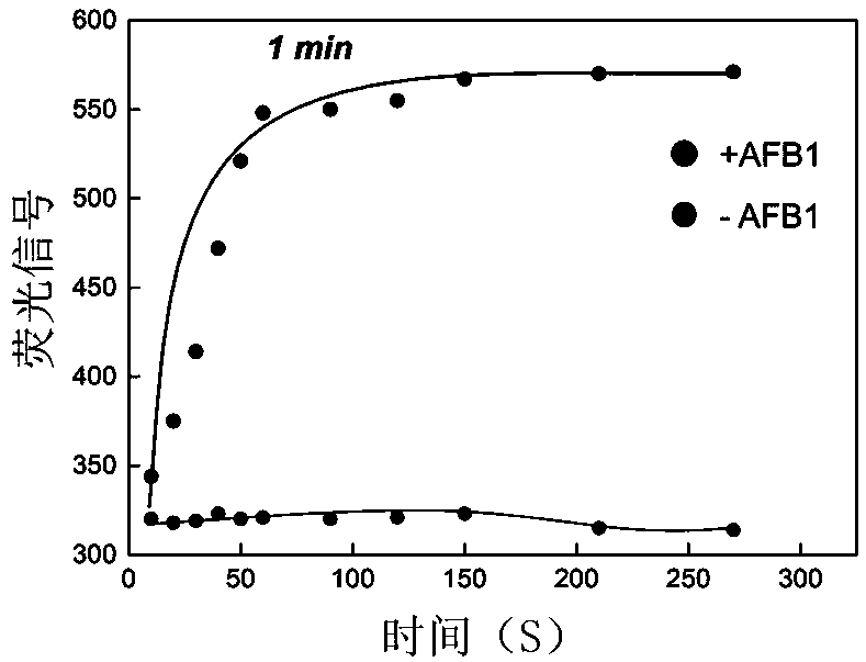Dual-label rapid response nucleic acid adapter probe and method for detection of aflatoxin B1