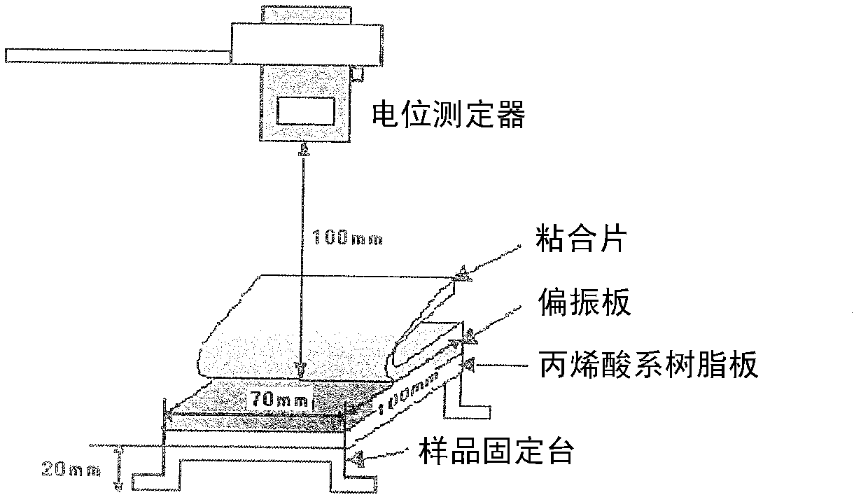 Adhesive composition, adhesive sheet, and surface protective film