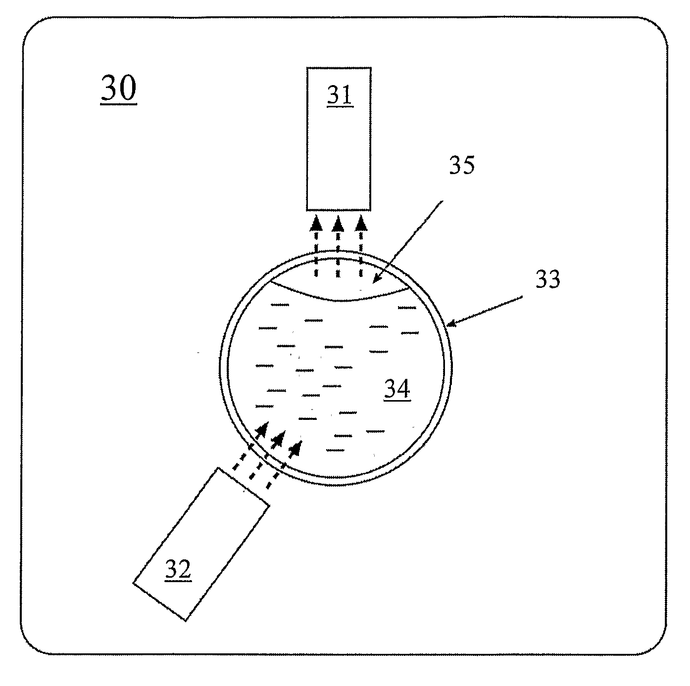 Method and Device for Detecting Estrus